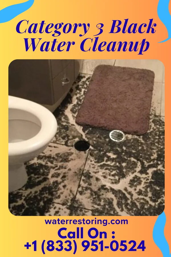 Category 3 Black Water Cleanup in Everson, PA