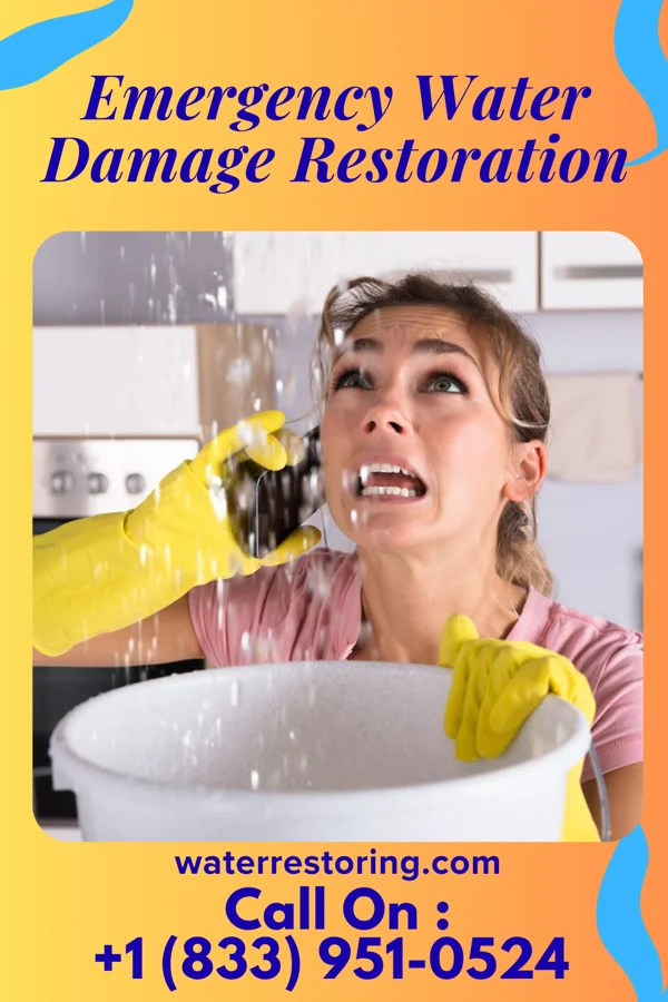 Emergency Water Damage Restoration in Everson, PA