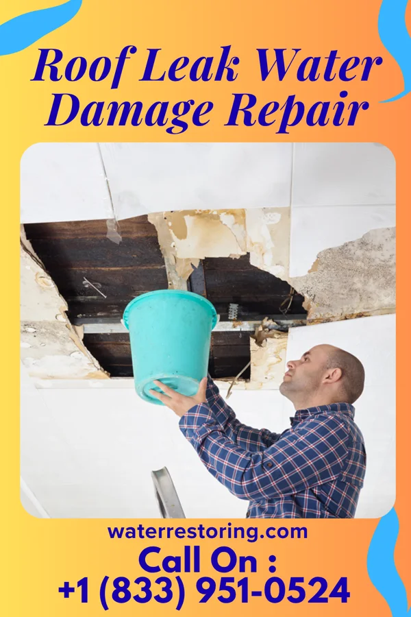 Roof Leak Water Damage Repair in Everson, PA