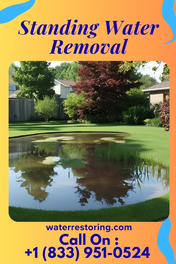 Standing Water Removal in Everson, PA